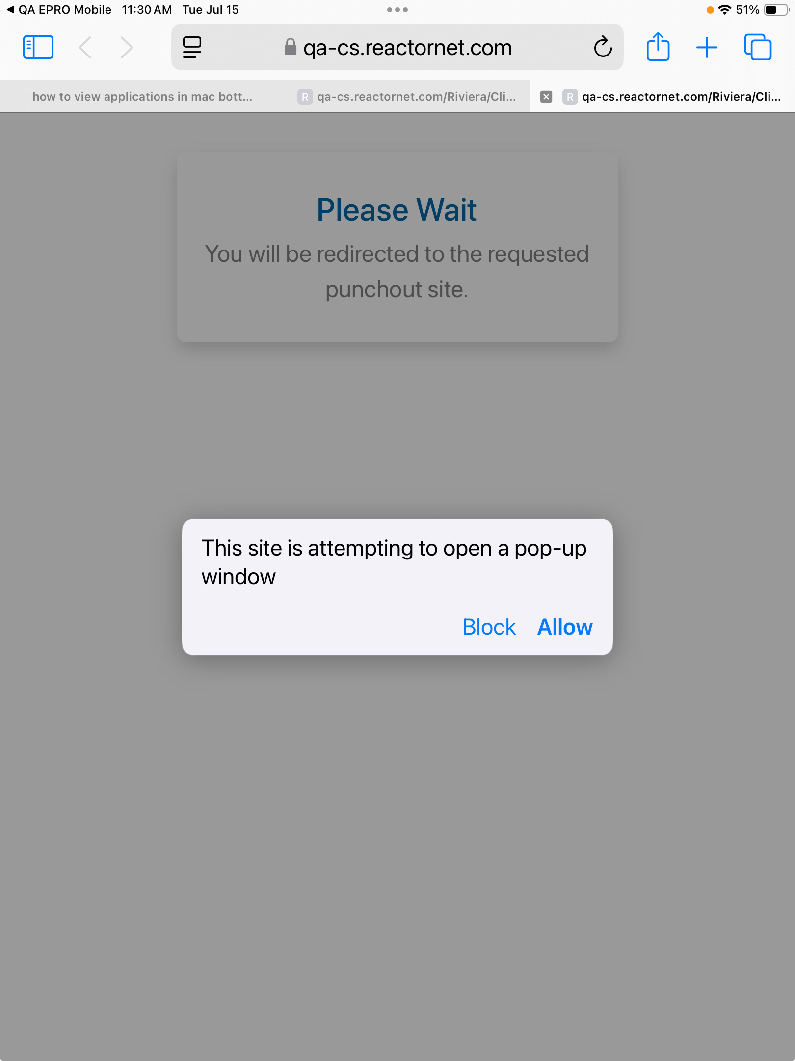 httpsqa-cs.reactornet.comRivieraClientExperienceBuyerSharedMobilePunchout.aspxLoginName=MDcvMTUvMjAyNSwxMTozMDozNTo4MDN.jpeg